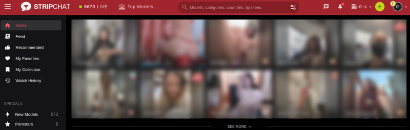Stripchat Cam-site