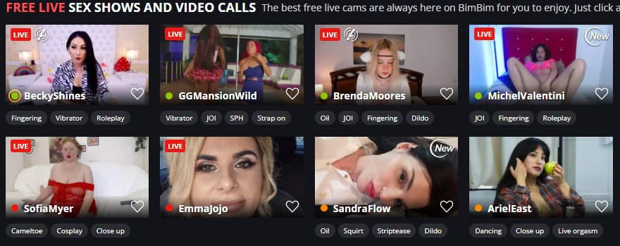 Screenshot BimBim Live cammeisjes